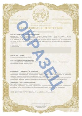 Образец Сертификат СТО 01.064.00220722.2-2020 Кызыл Сертификат СТО 01.064.00220722.2-2020 